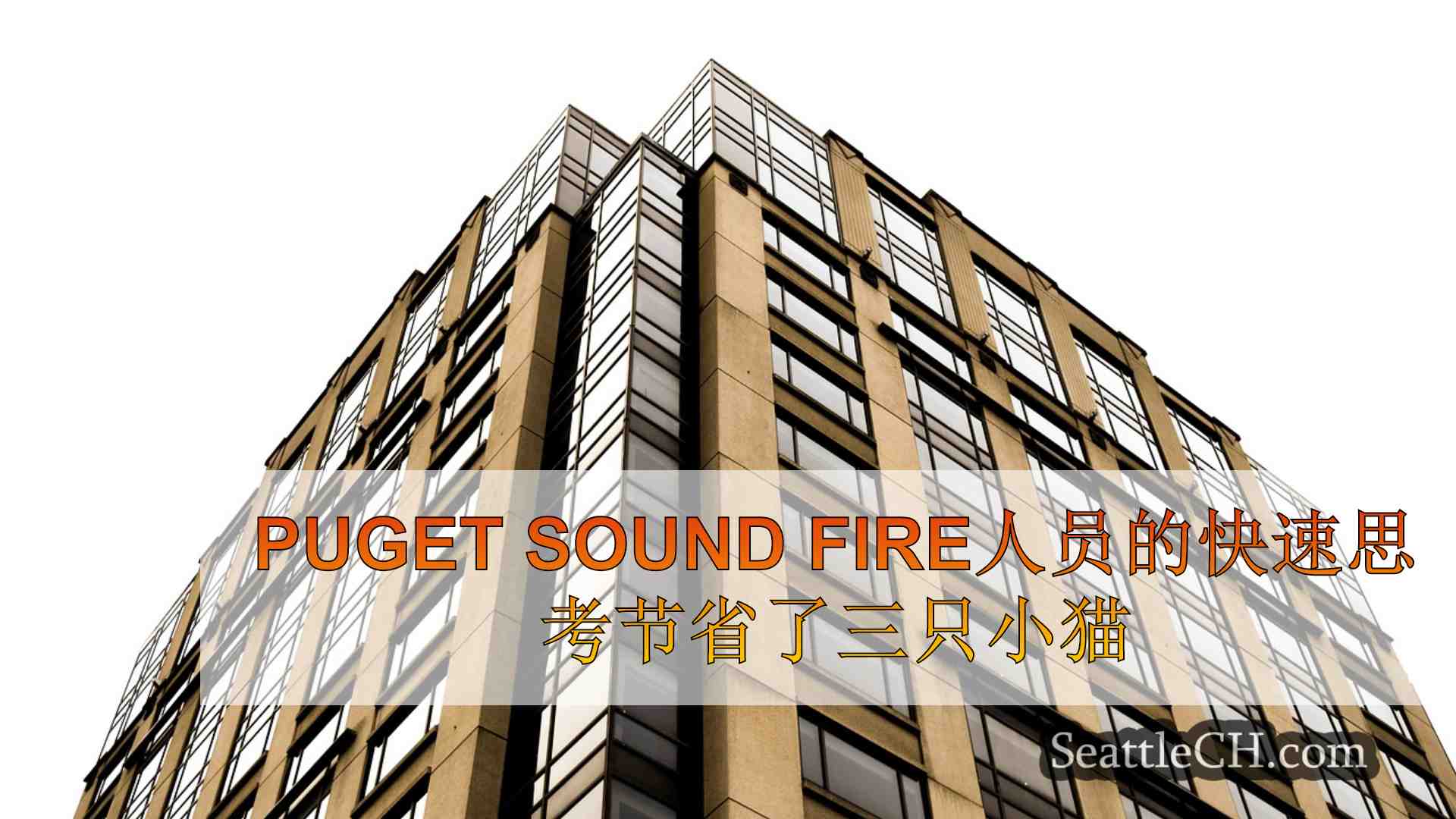 西雅图新闻 SeattleCH
