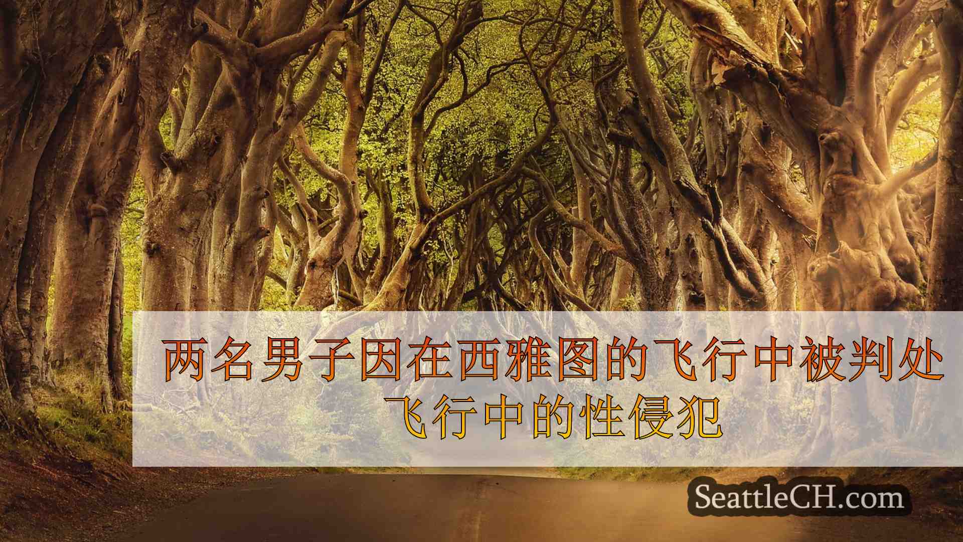 西雅图新闻 SeattleCH