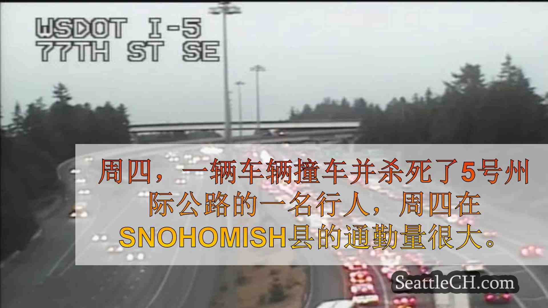 西雅图新闻 SeattleCH