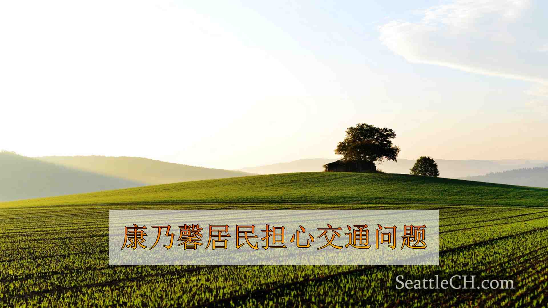 西雅图新闻 SeattleCH