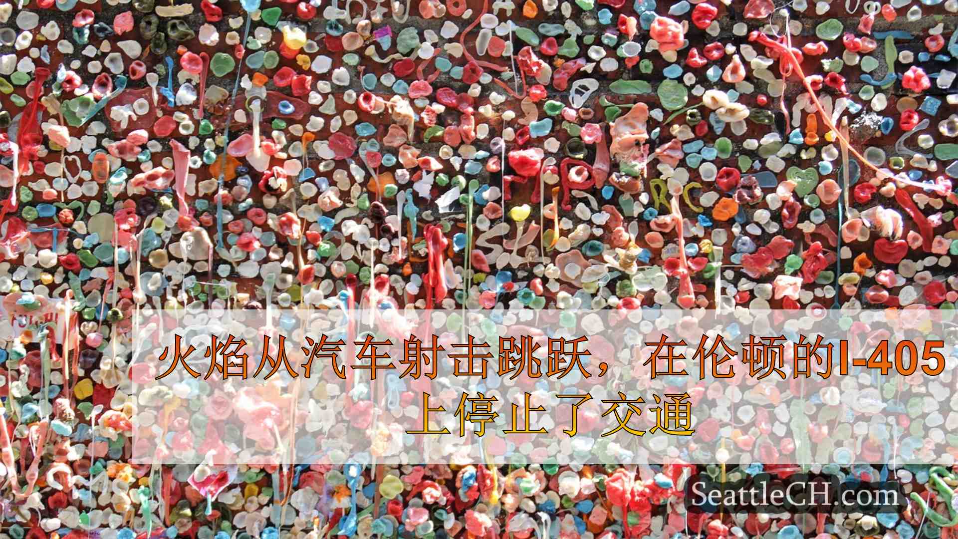西雅图新闻 SeattleCH