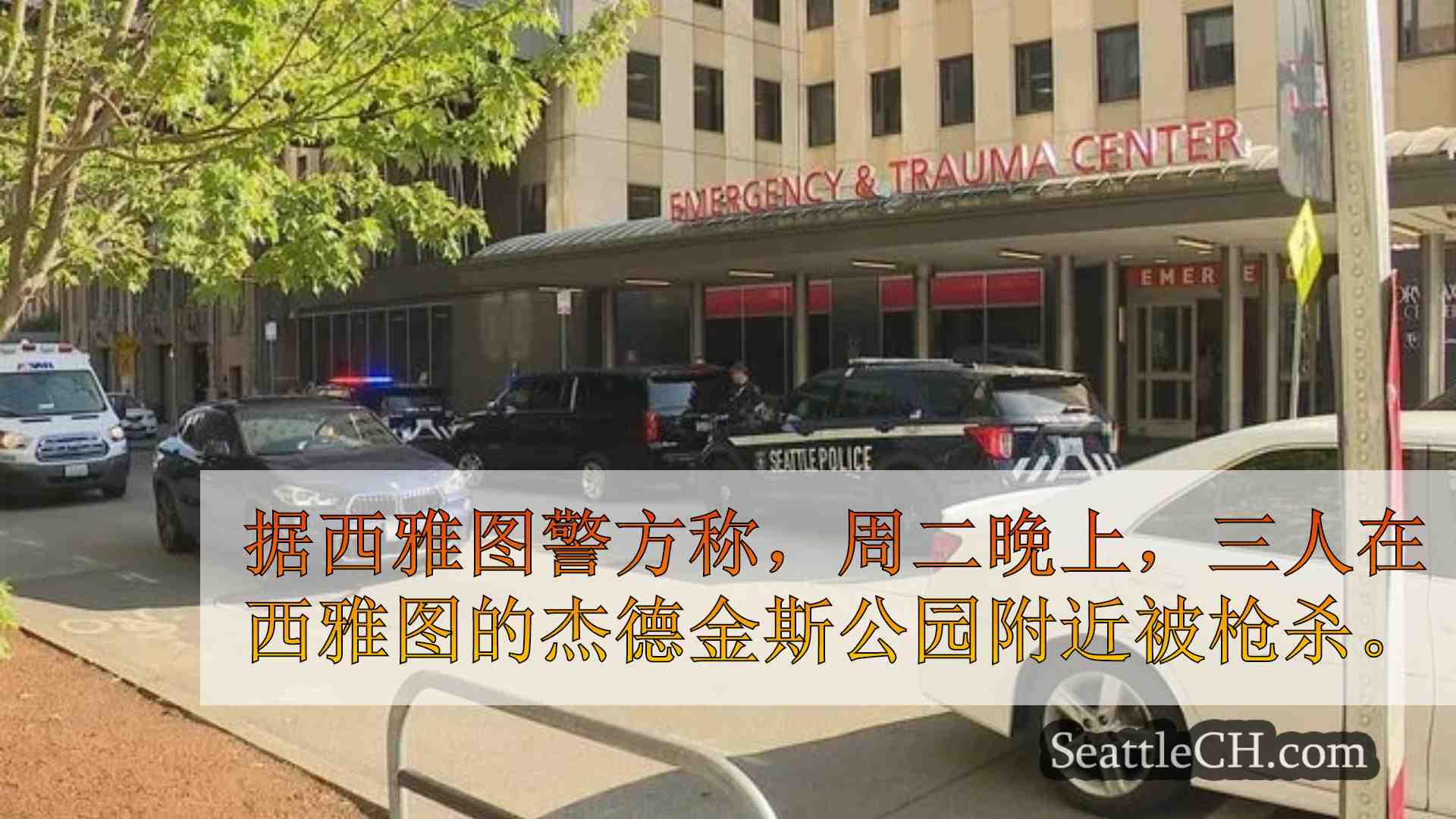 西雅图新闻 SeattleCH