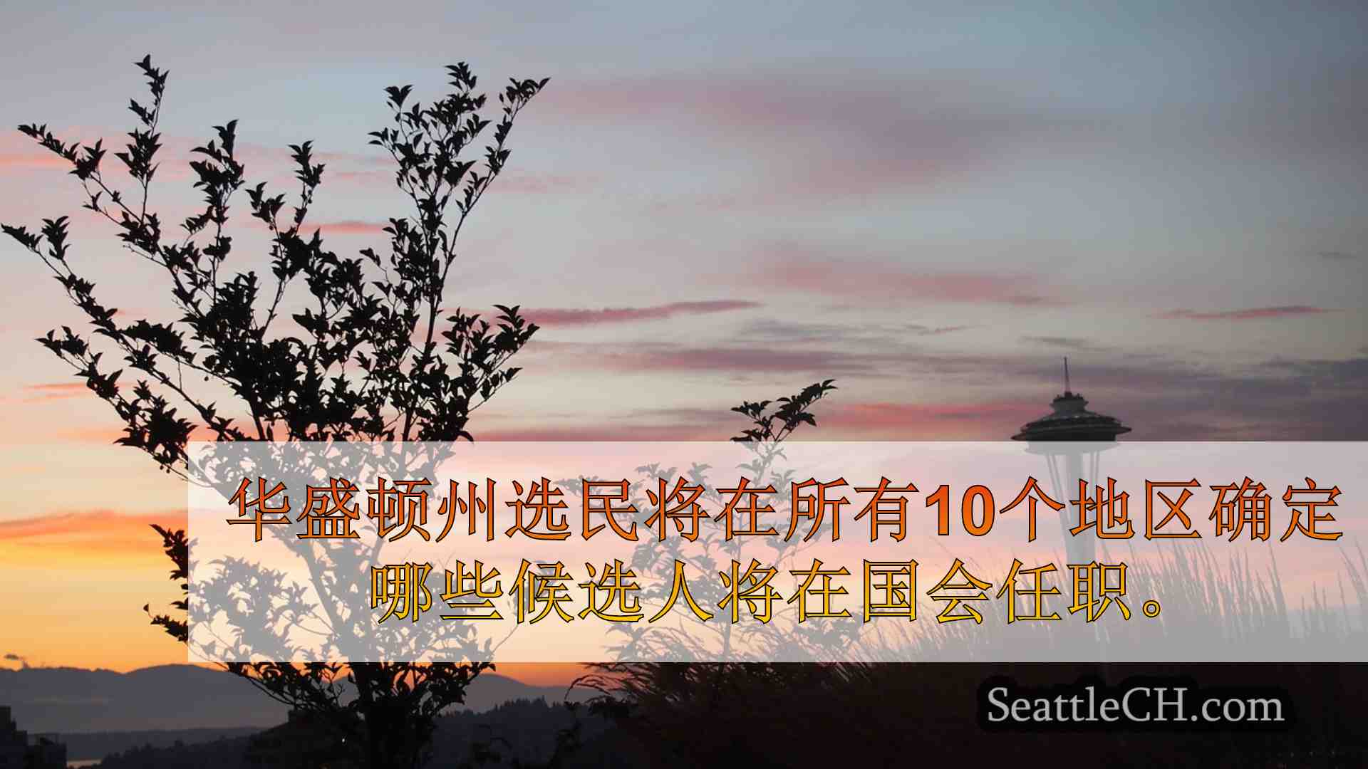 西雅图新闻 SeattleCH