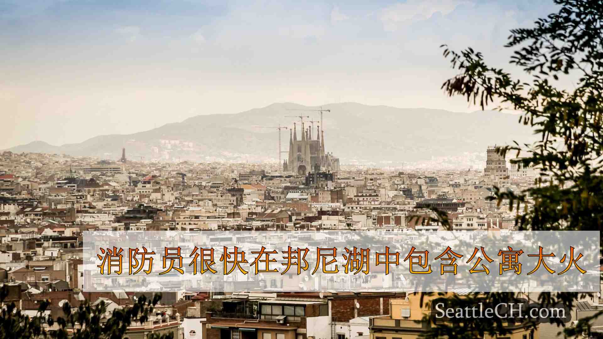 西雅图新闻 SeattleCH
