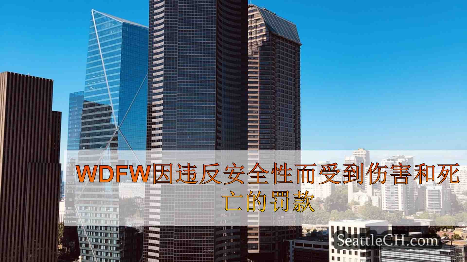 西雅图新闻 SeattleCH