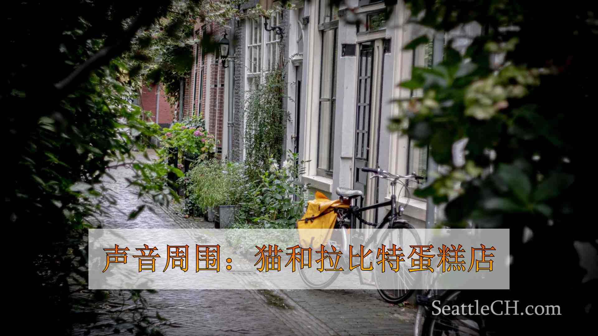 西雅图新闻 SeattleCH