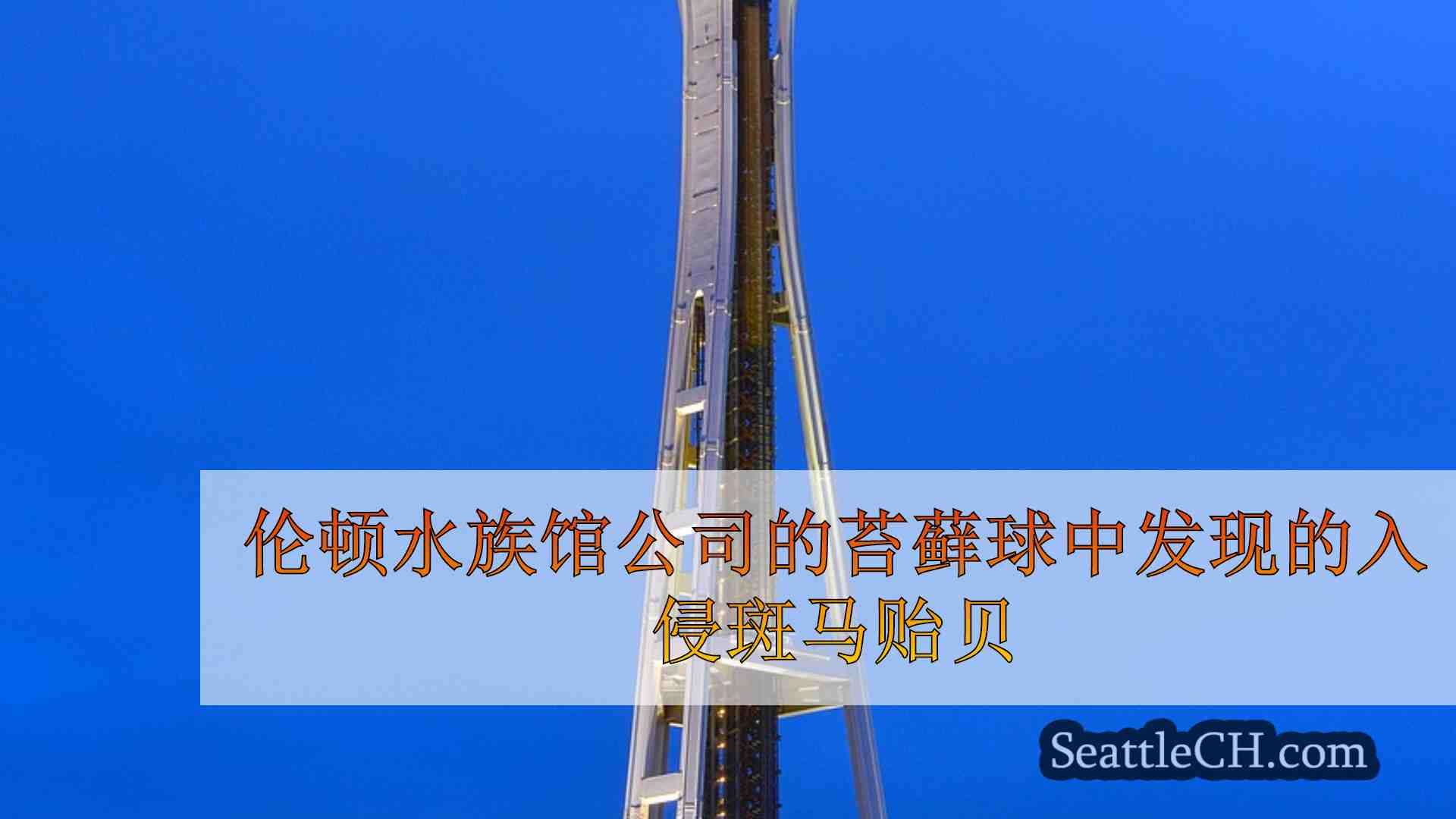 西雅图新闻 SeattleCH