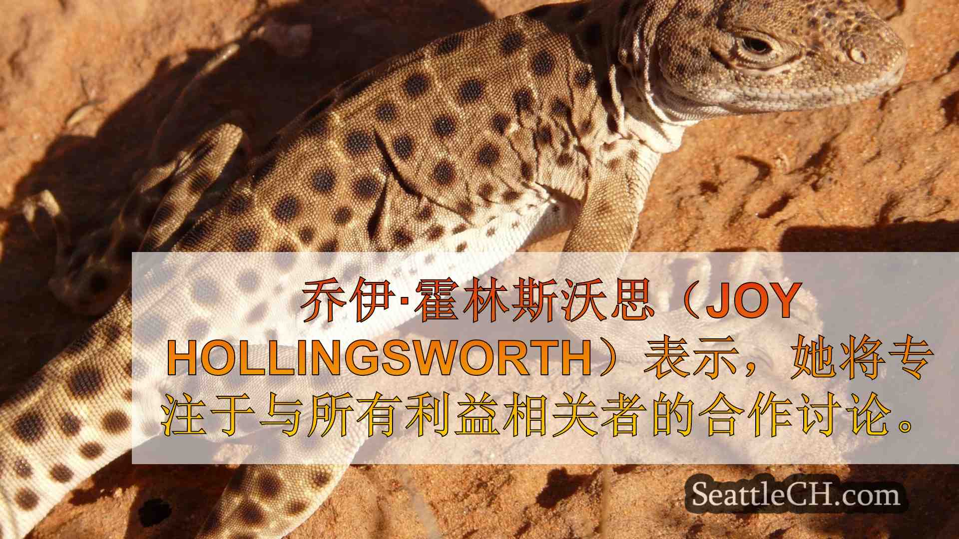 西雅图新闻 SeattleCH