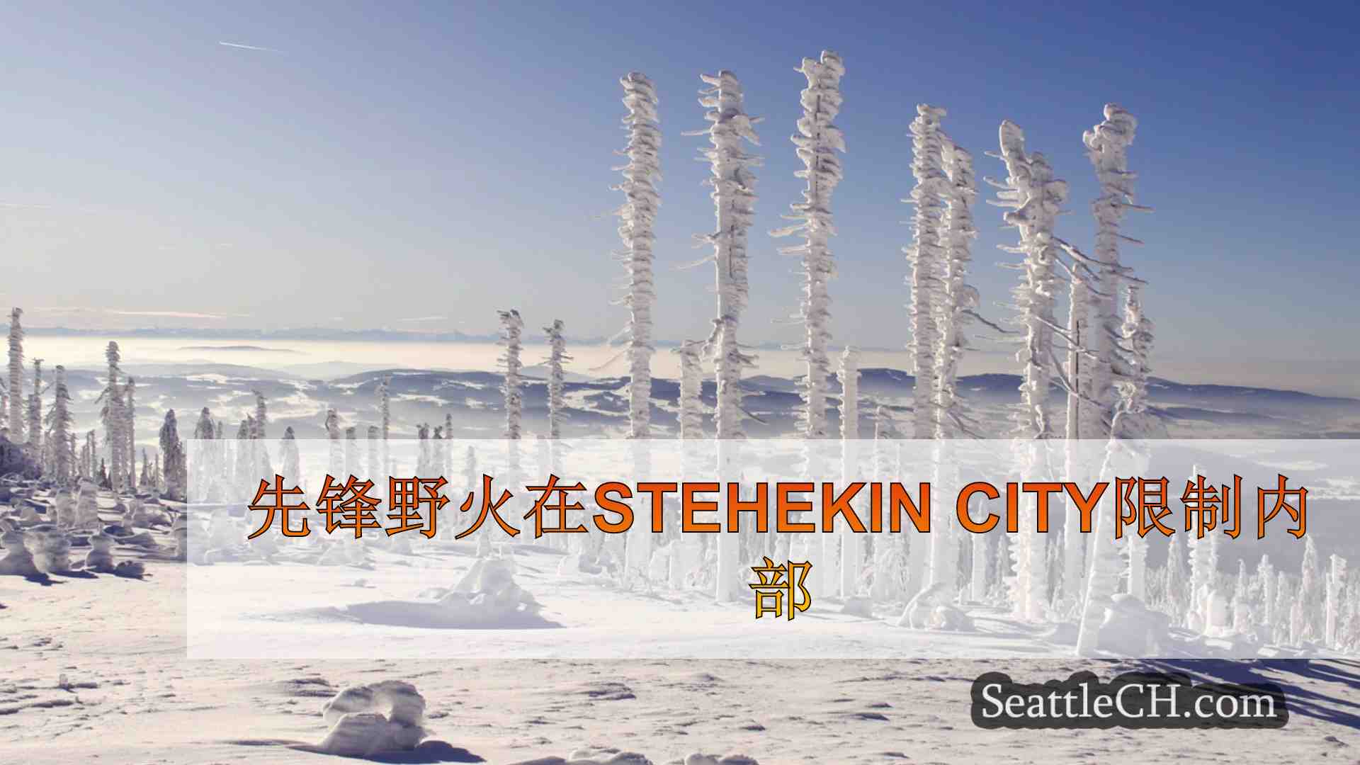 西雅图新闻 SeattleCH