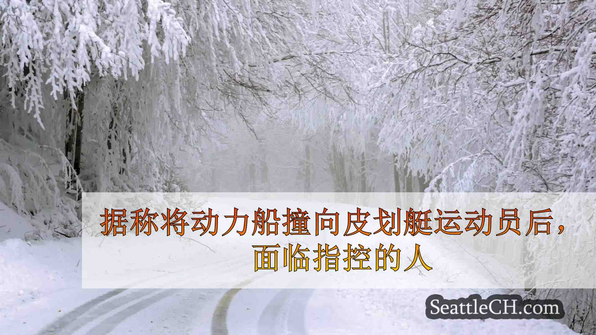 西雅图新闻 SeattleCH