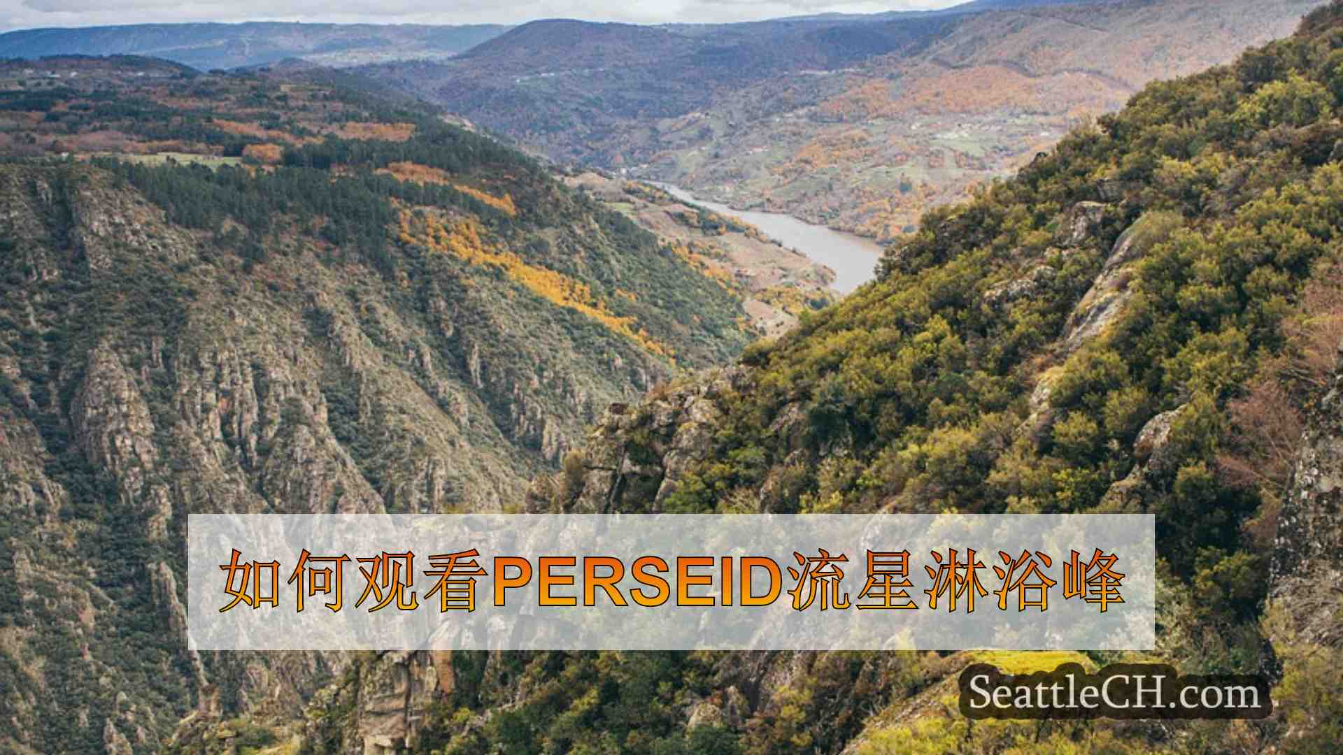西雅图新闻 SeattleCH