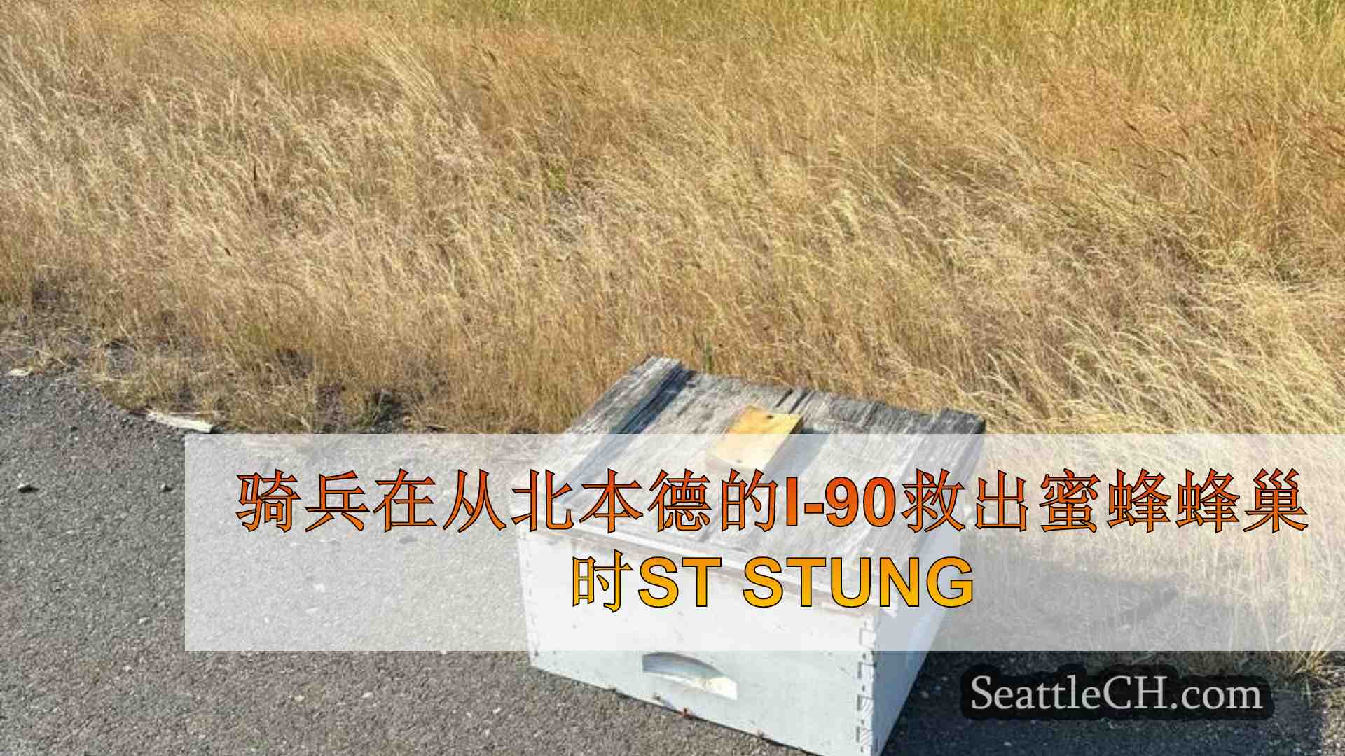 骑兵在从北本德的I-90救出蜜蜂蜂巢时st stung
