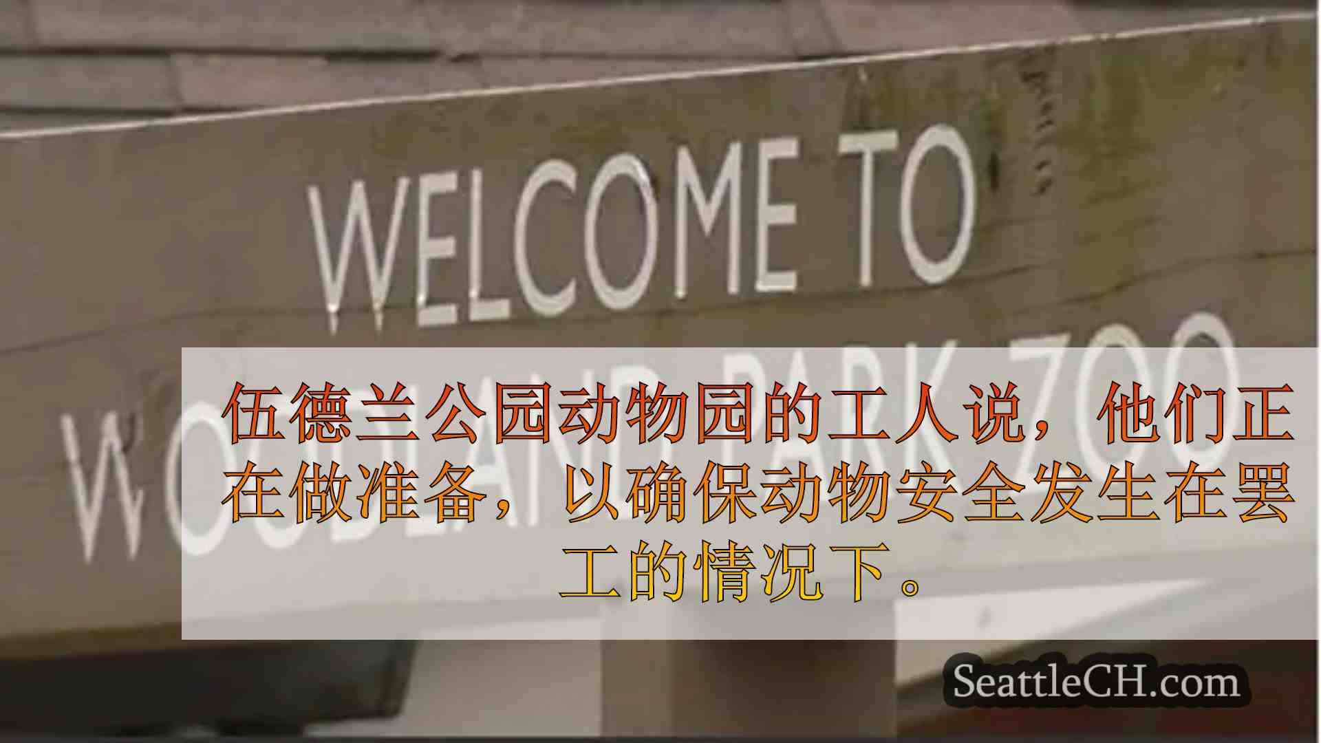 伍德兰公园动物园工人计划在接触谈判失败后周二纠察