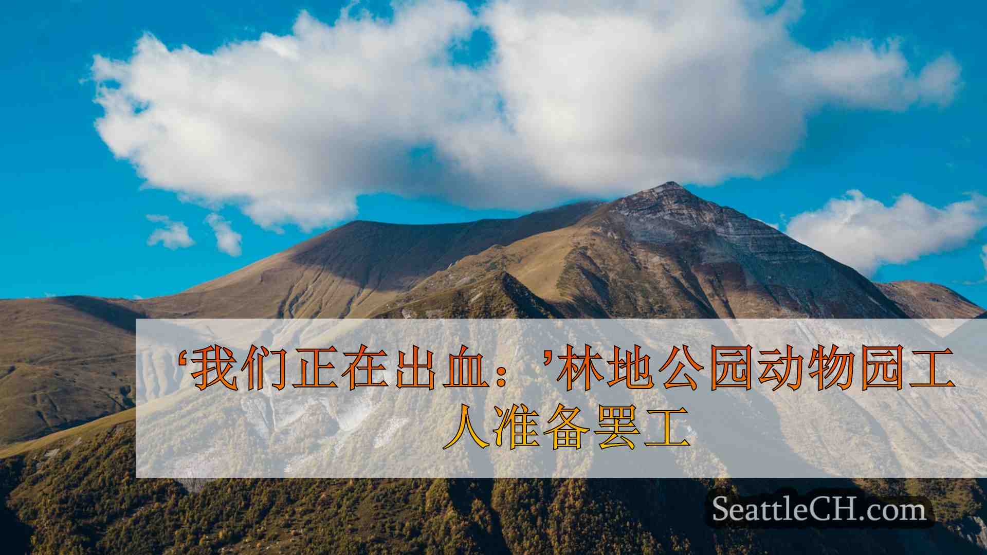 西雅图新闻 SeattleCH