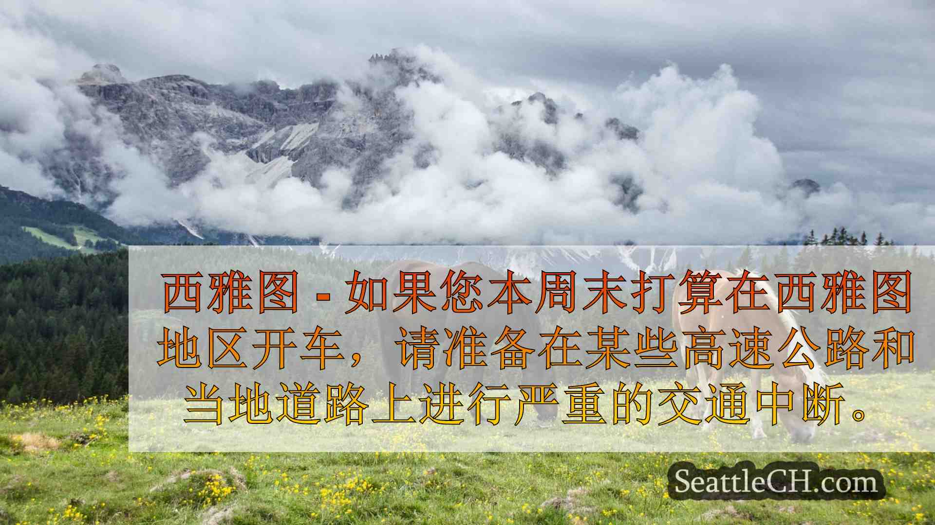 西雅图新闻 SeattleCH