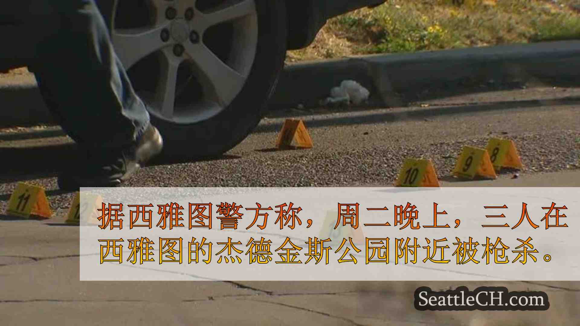 西雅图新闻 SeattleCH
