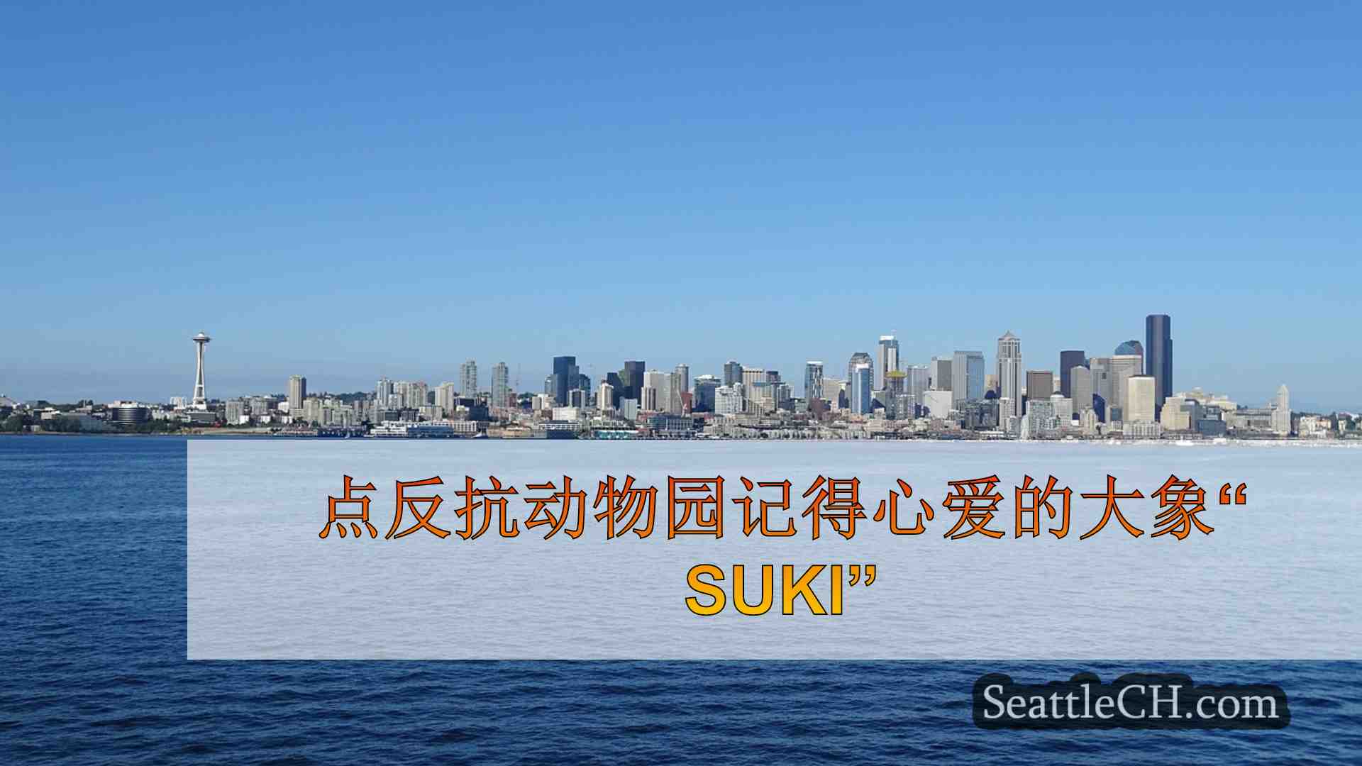 西雅图新闻 SeattleCH