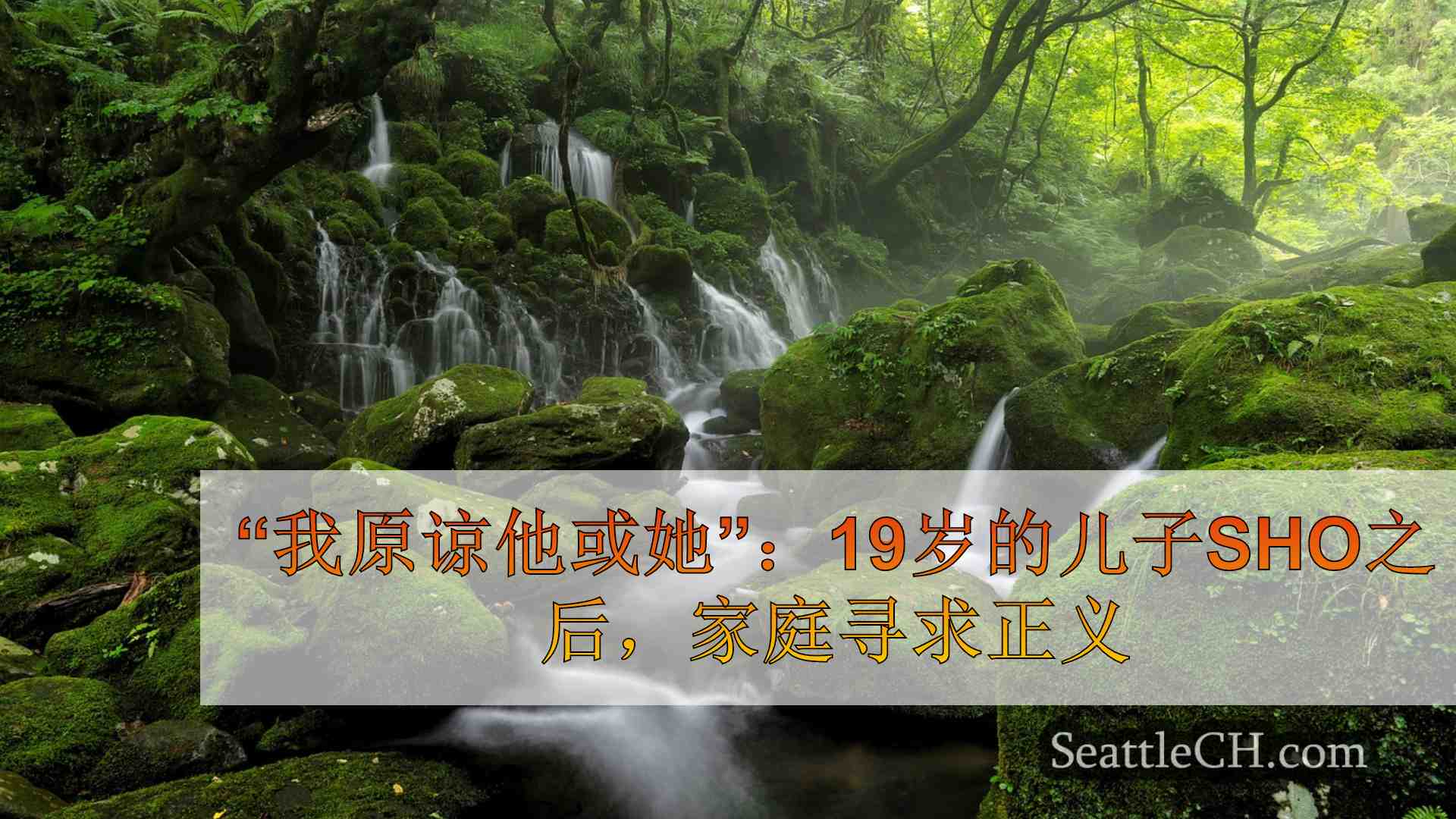 西雅图新闻 SeattleCH