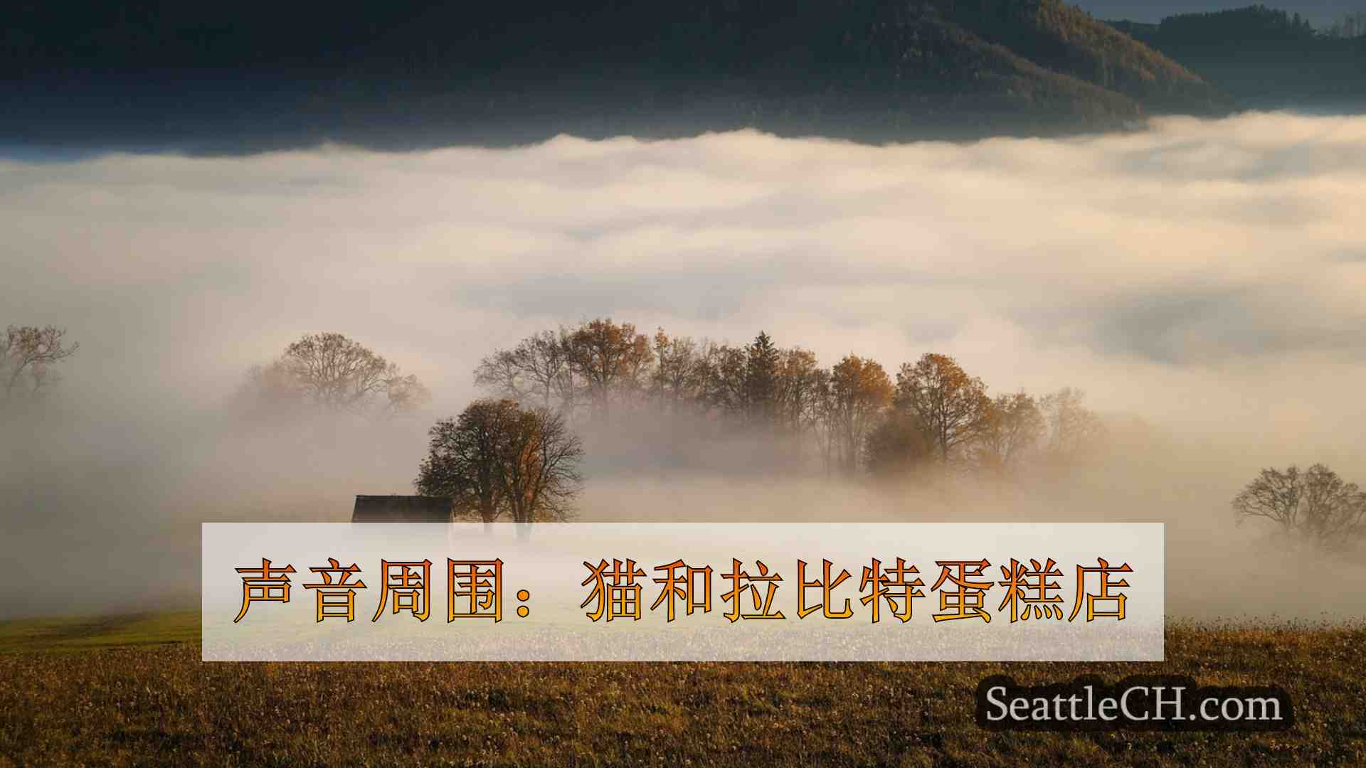 西雅图新闻 SeattleCH