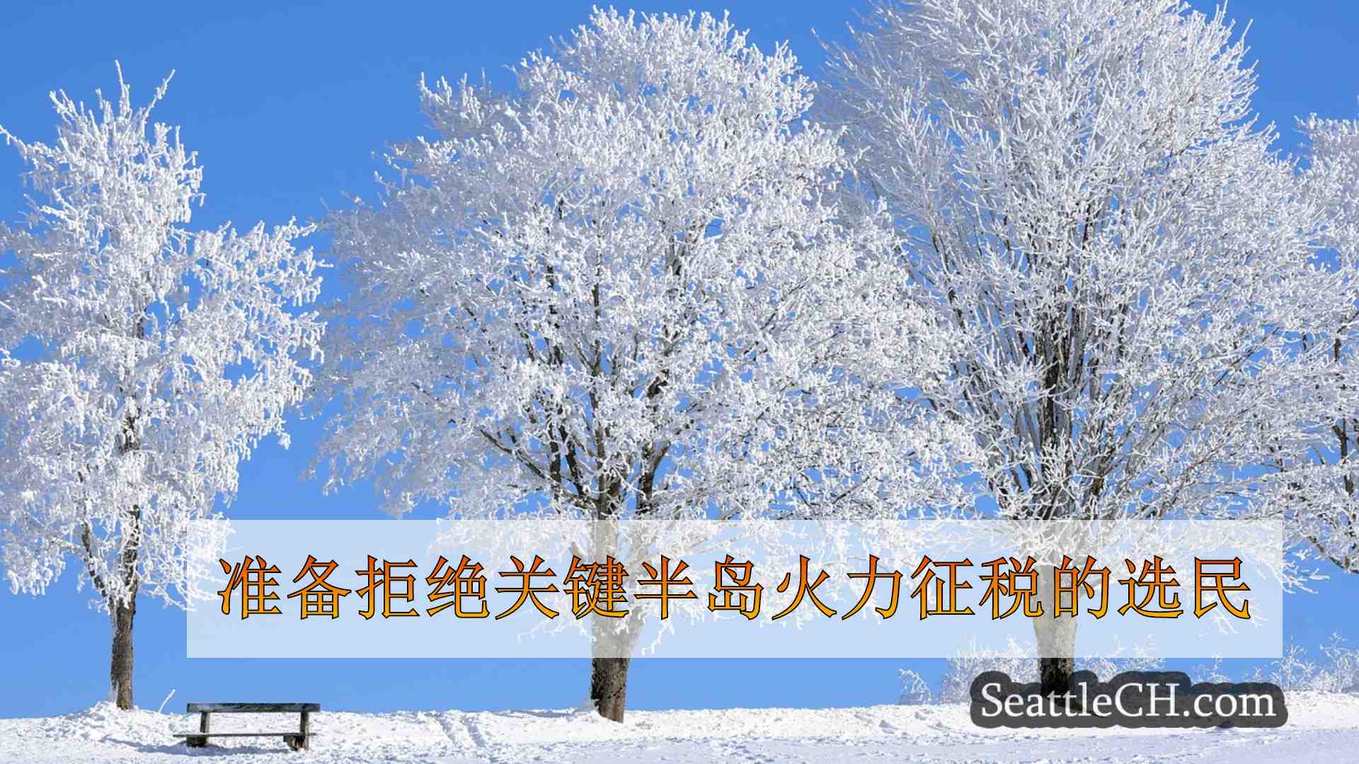 西雅图新闻 SeattleCH