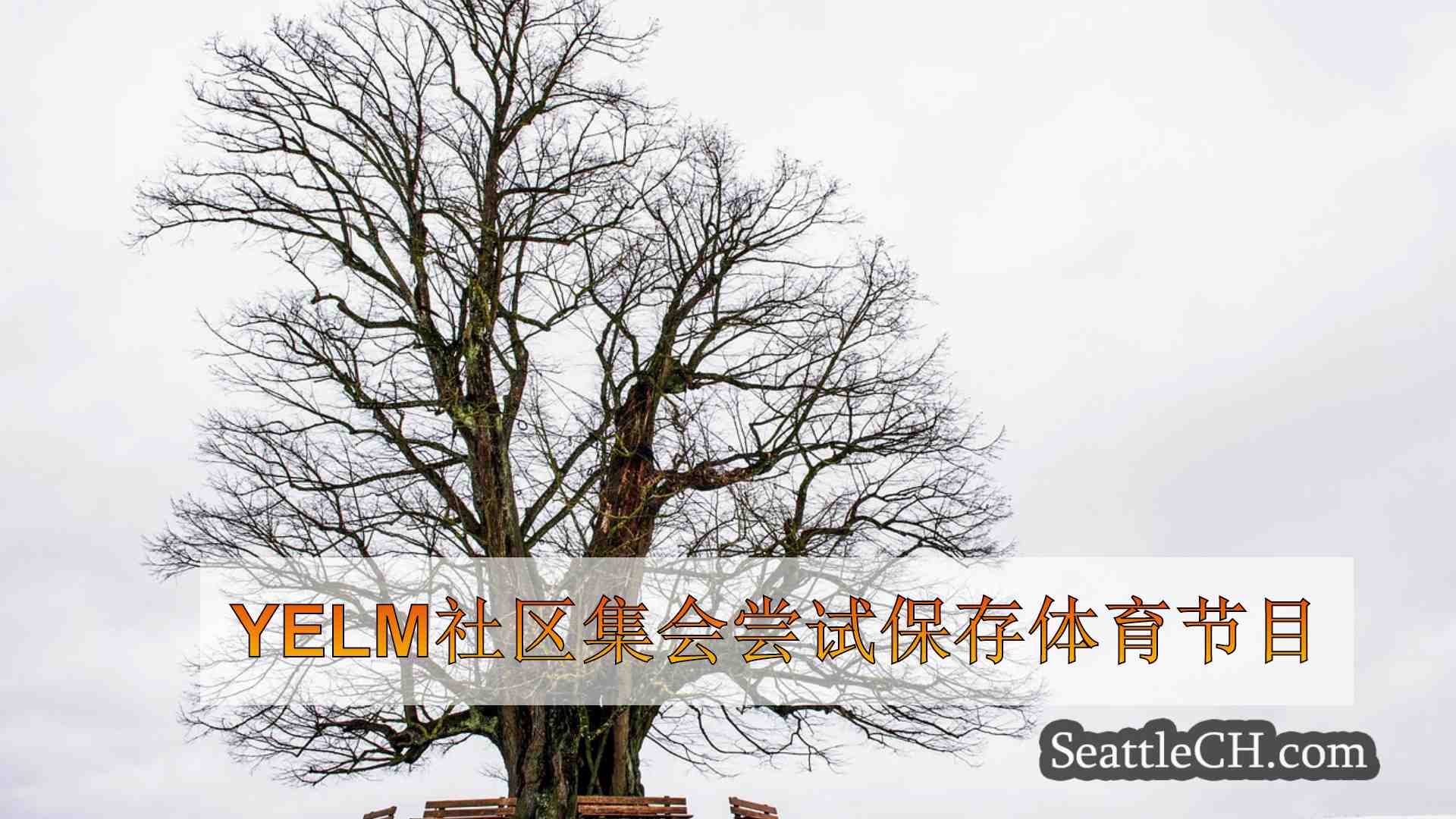 西雅图新闻 SeattleCH