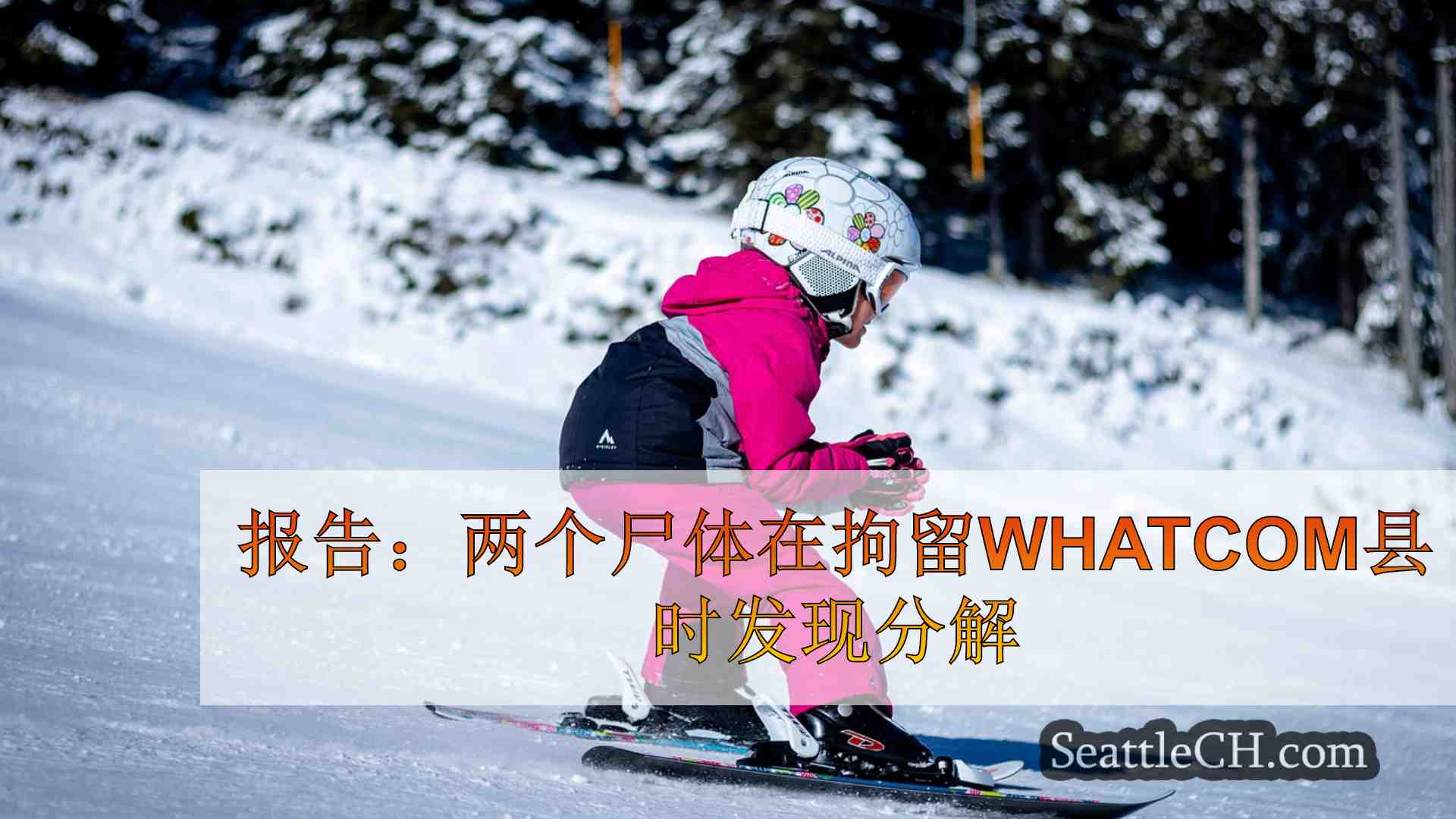 西雅图新闻 SeattleCH