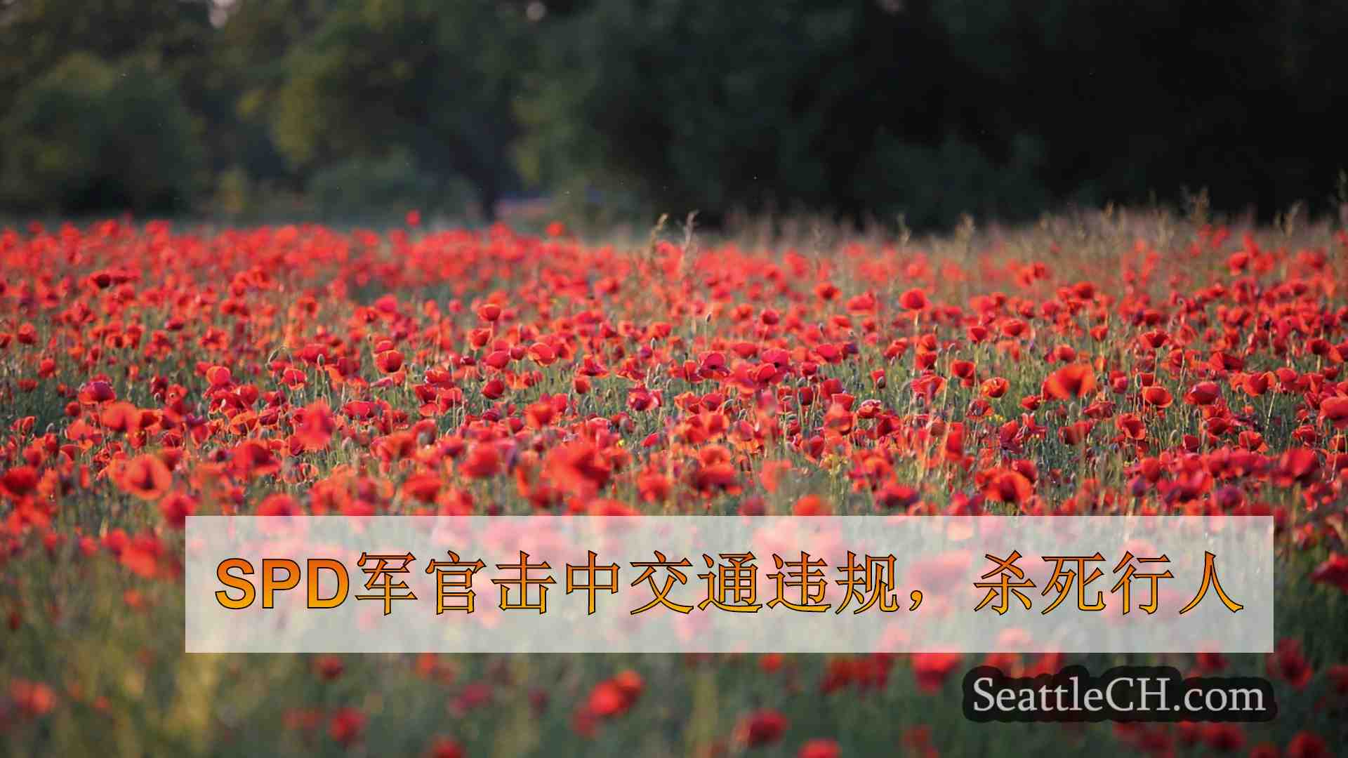 西雅图新闻 SeattleCH