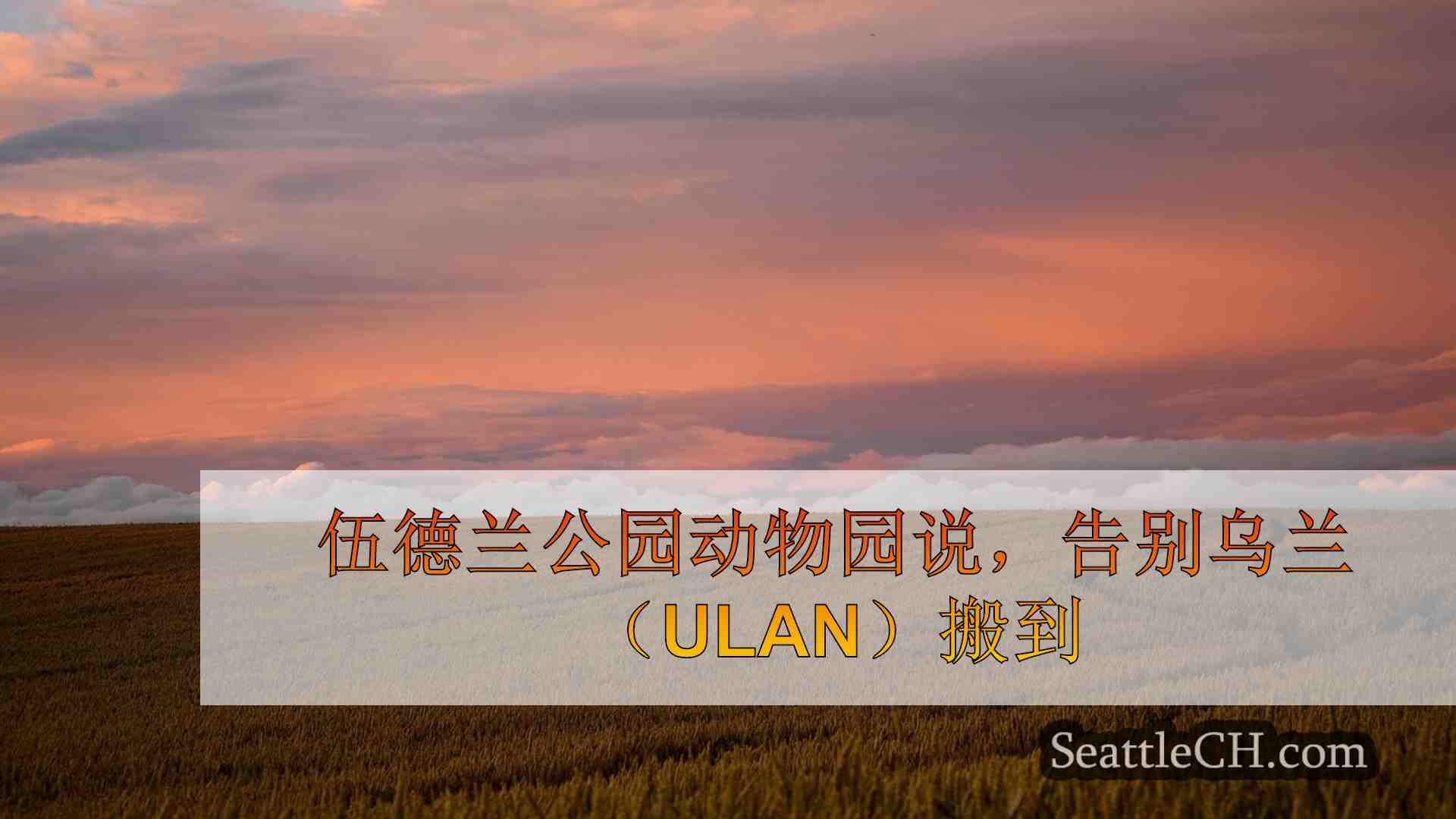 西雅图新闻 SeattleCH