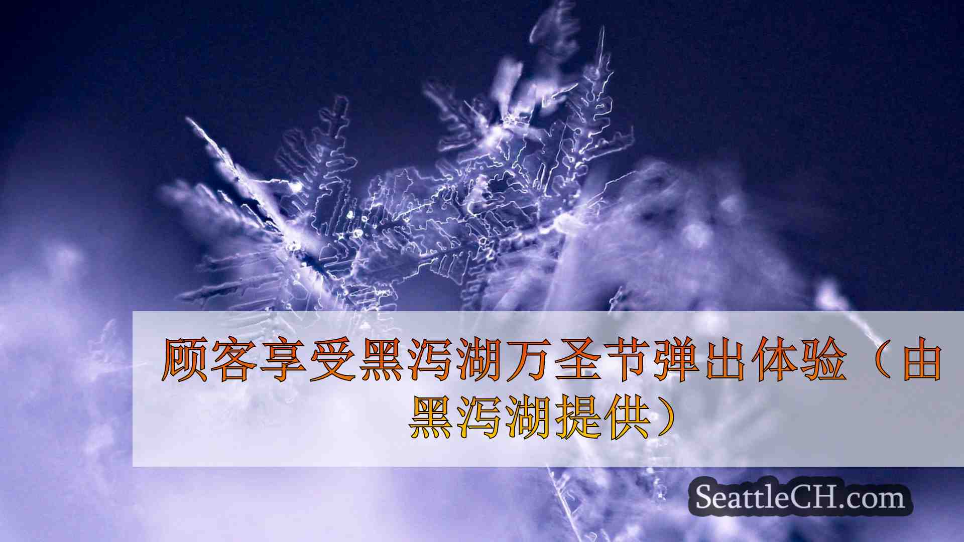 西雅图新闻 SeattleCH
