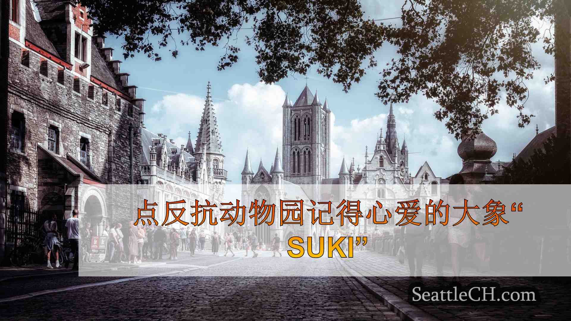 西雅图新闻 SeattleCH