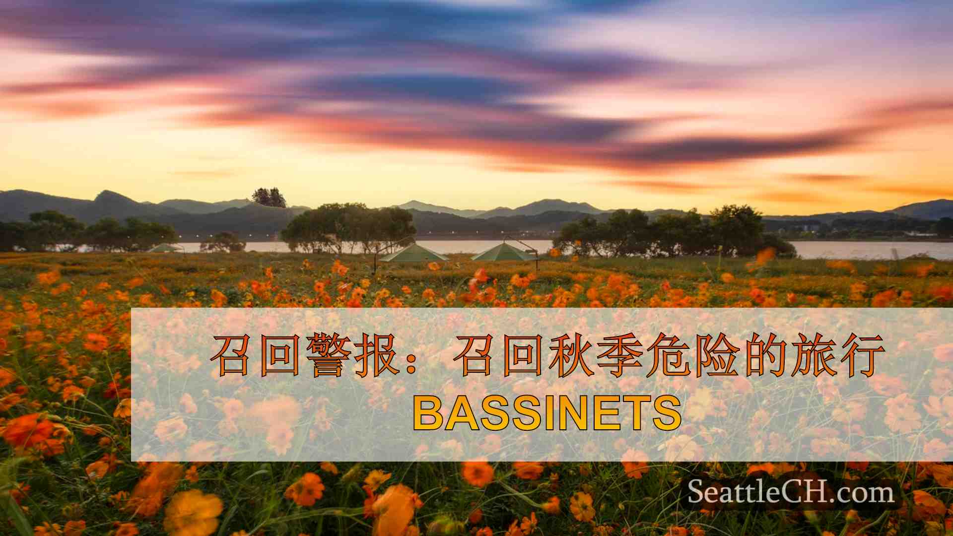 西雅图新闻 SeattleCH