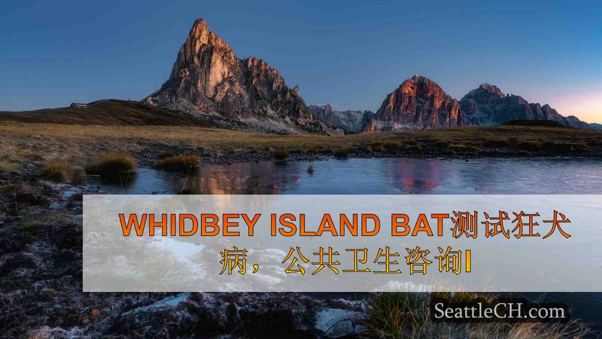 西雅图新闻 SeattleCH