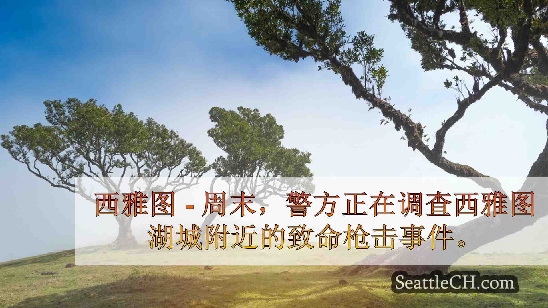 西雅图新闻 SeattleCH