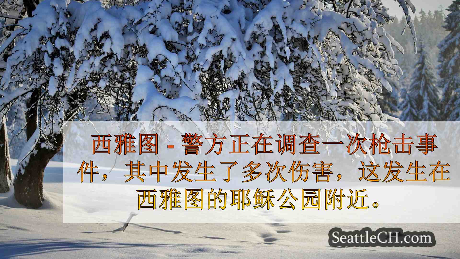 西雅图新闻 SeattleCH