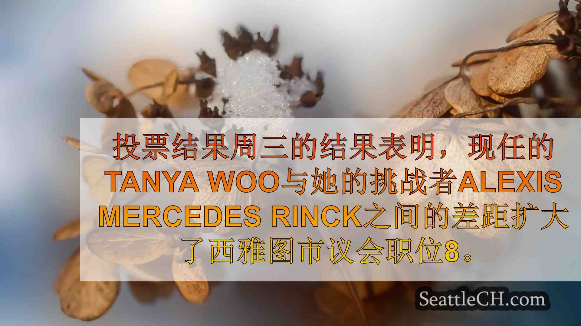 西雅图新闻 SeattleCH