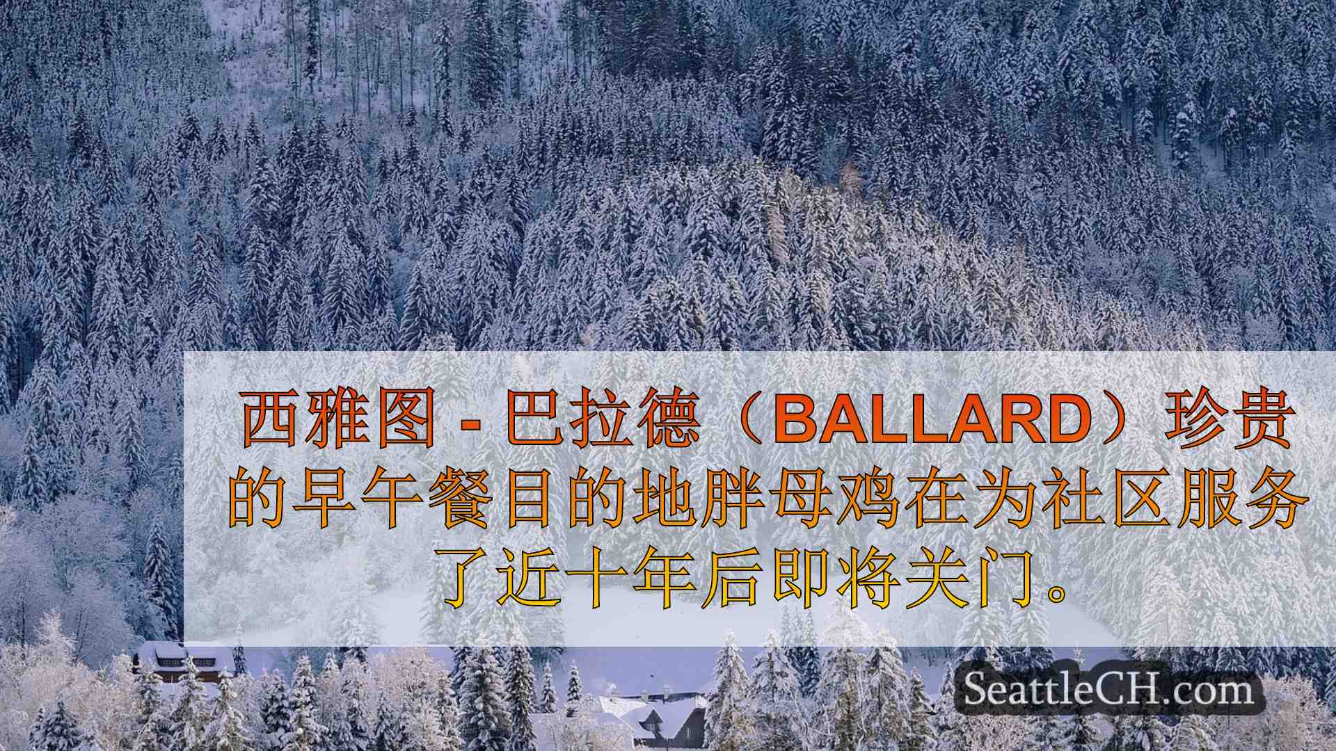 西雅图新闻 SeattleCH