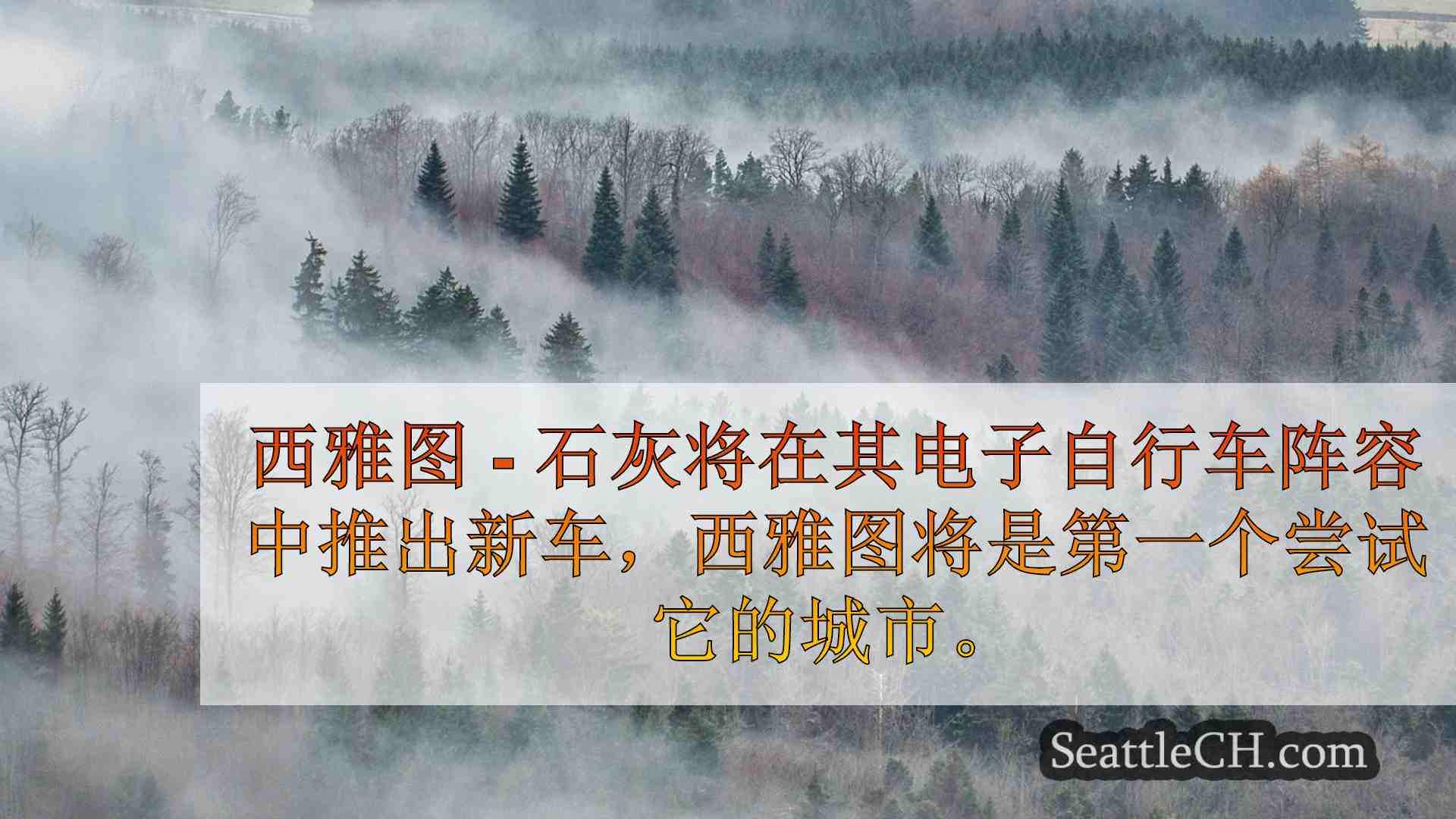 西雅图新闻 SeattleCH