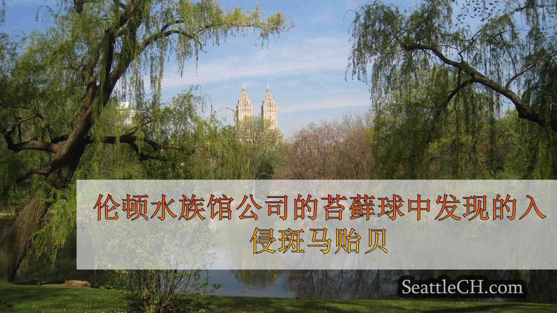 西雅图新闻 SeattleCH