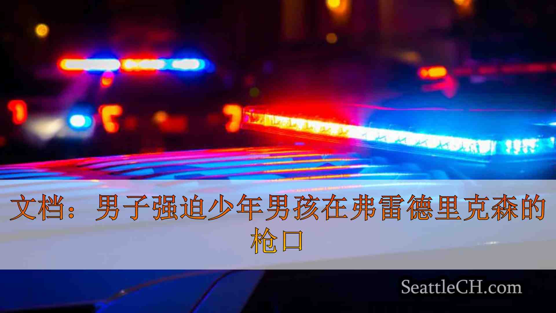 文档：男子强迫少年男孩在弗雷德里克森的枪口
