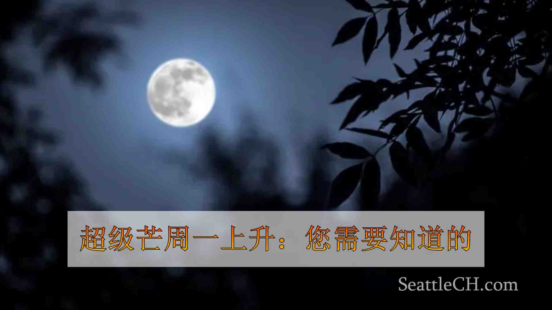 超级芒周一上升：您需要知道的