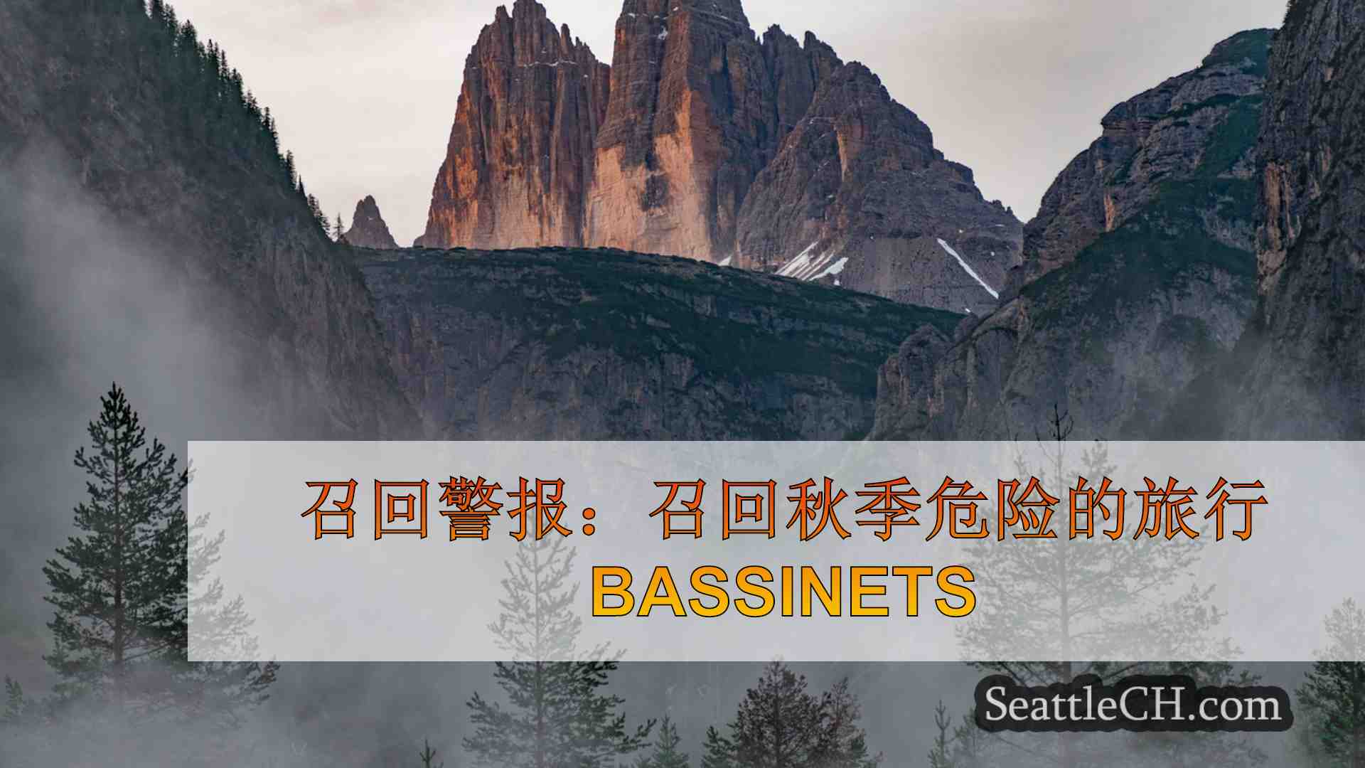 西雅图新闻 SeattleCH
