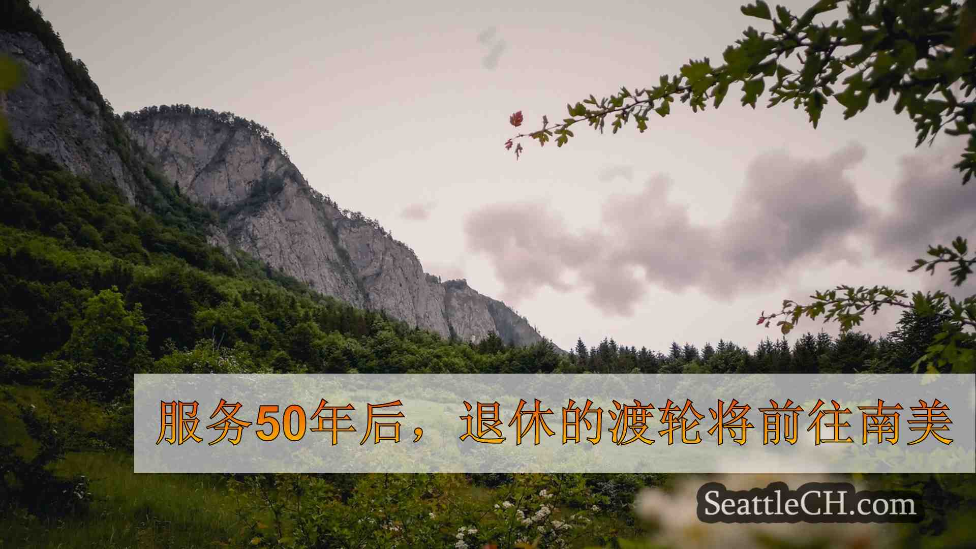 西雅图新闻 SeattleCH
