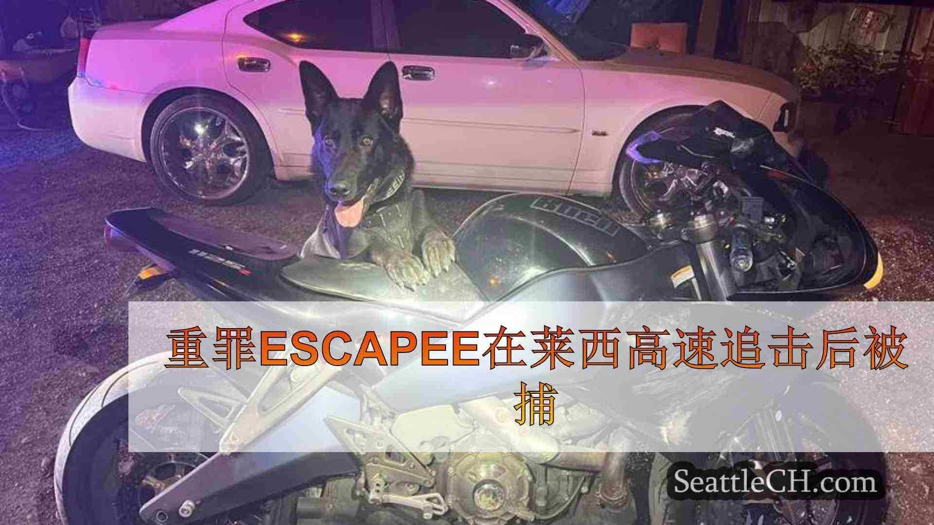 重罪Escapee在莱西高速追击后被捕