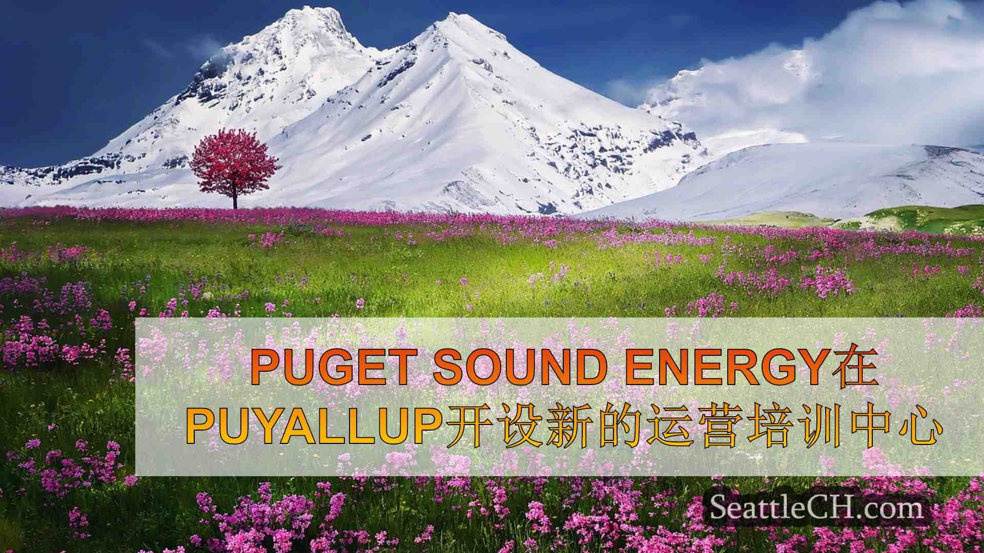 西雅图新闻 SeattleCH