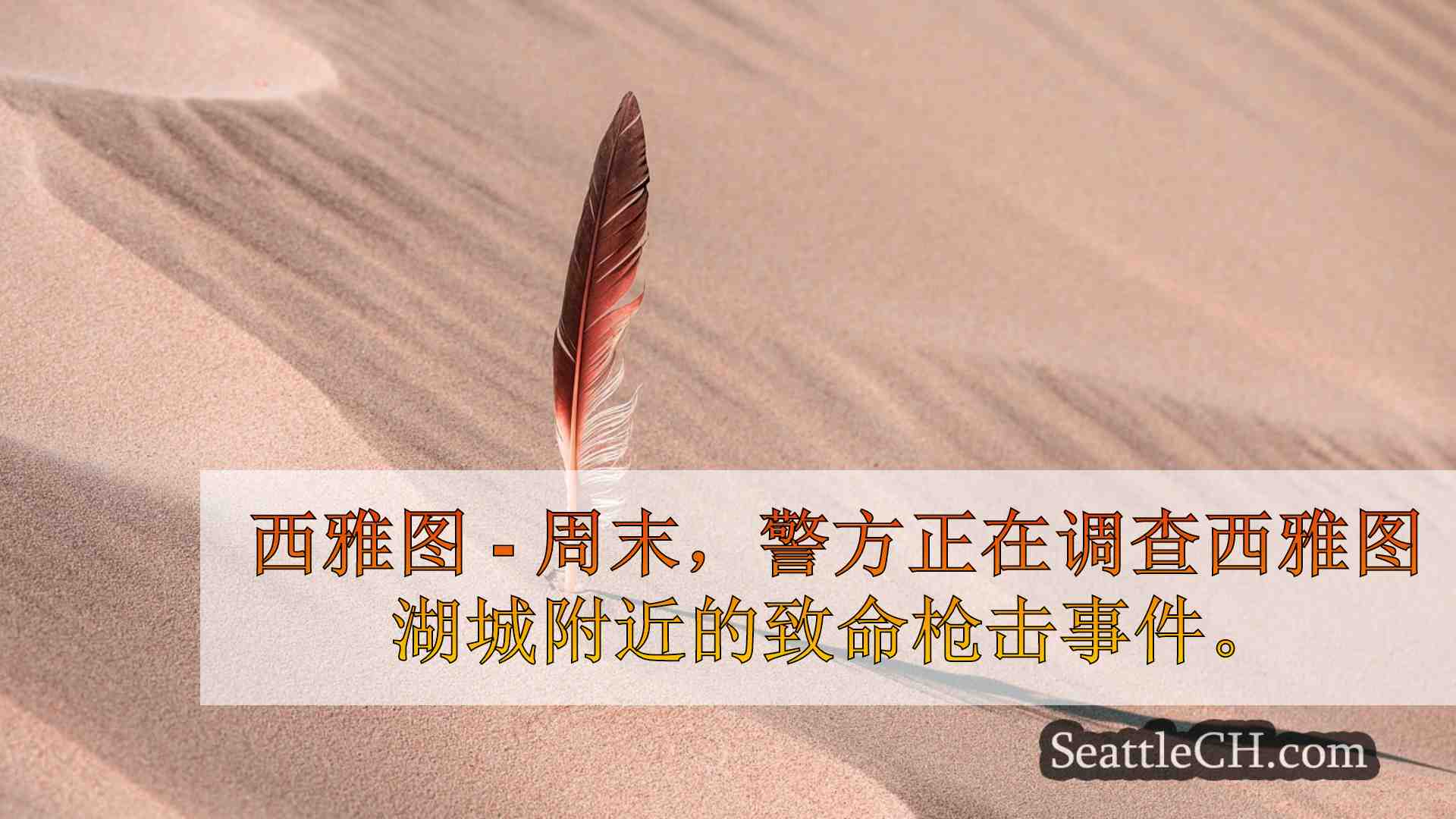 在北西雅图凶杀案调查中被捕的男子