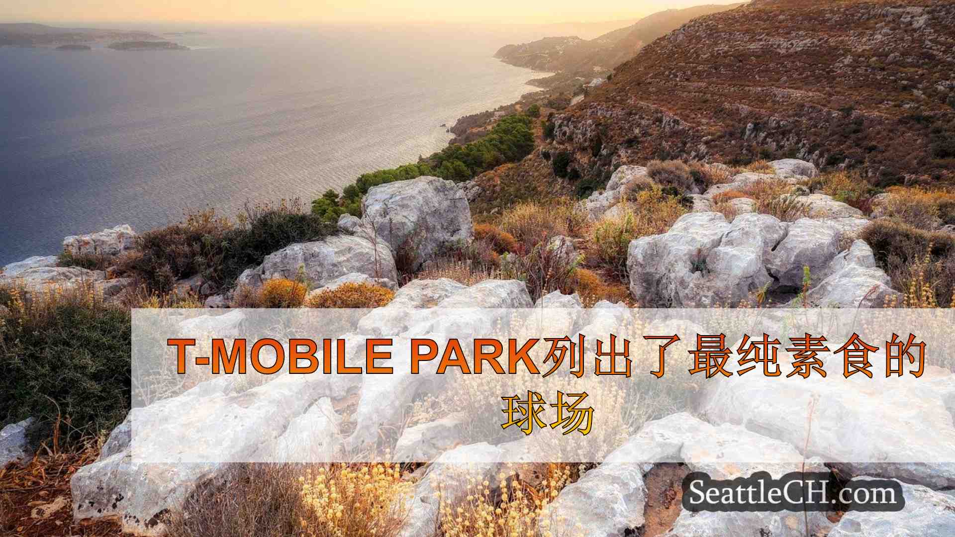 西雅图新闻 SeattleCH