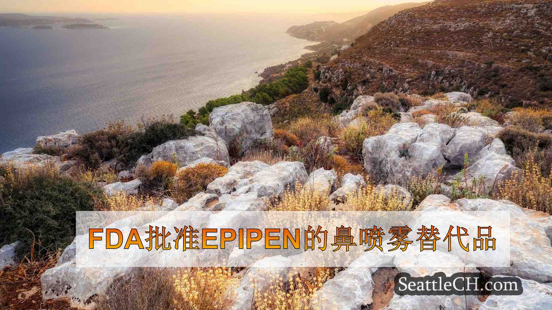 西雅图新闻 SeattleCH