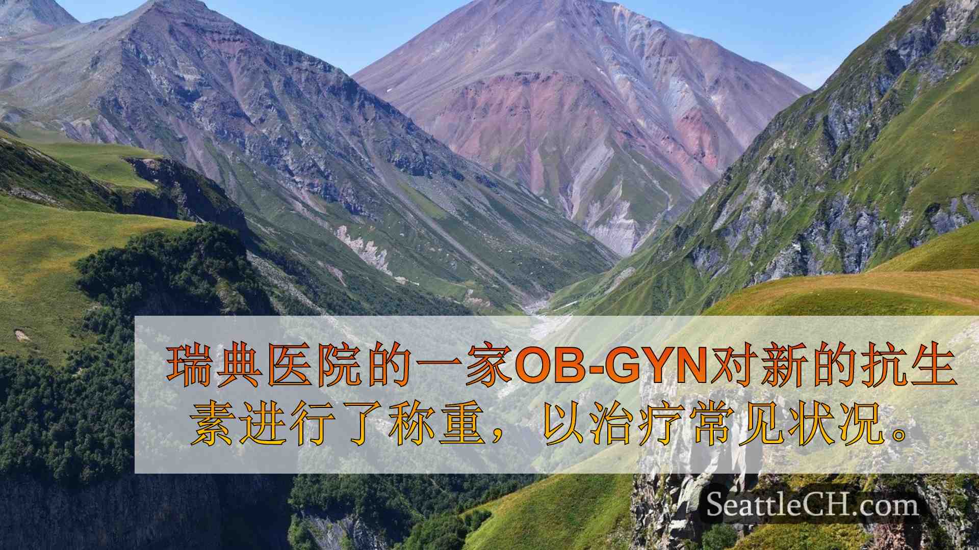 西雅图新闻 SeattleCH