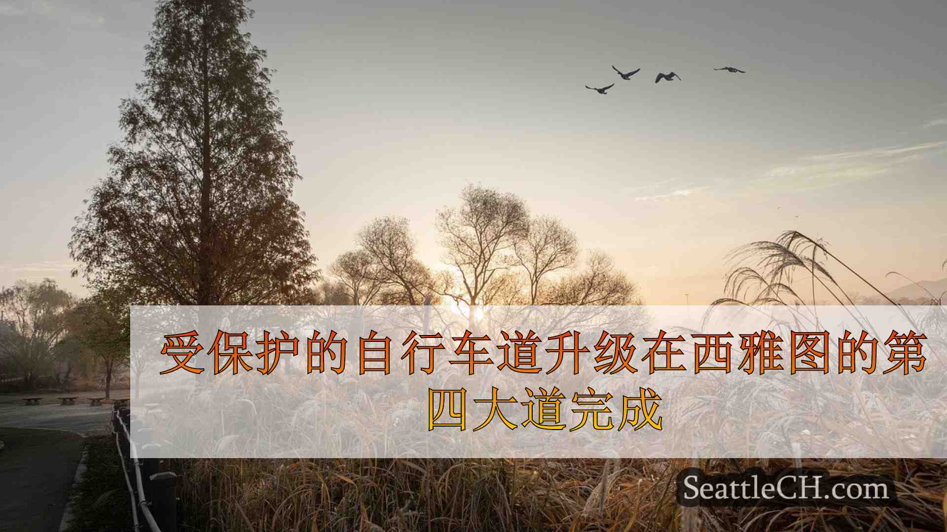 西雅图新闻 SeattleCH