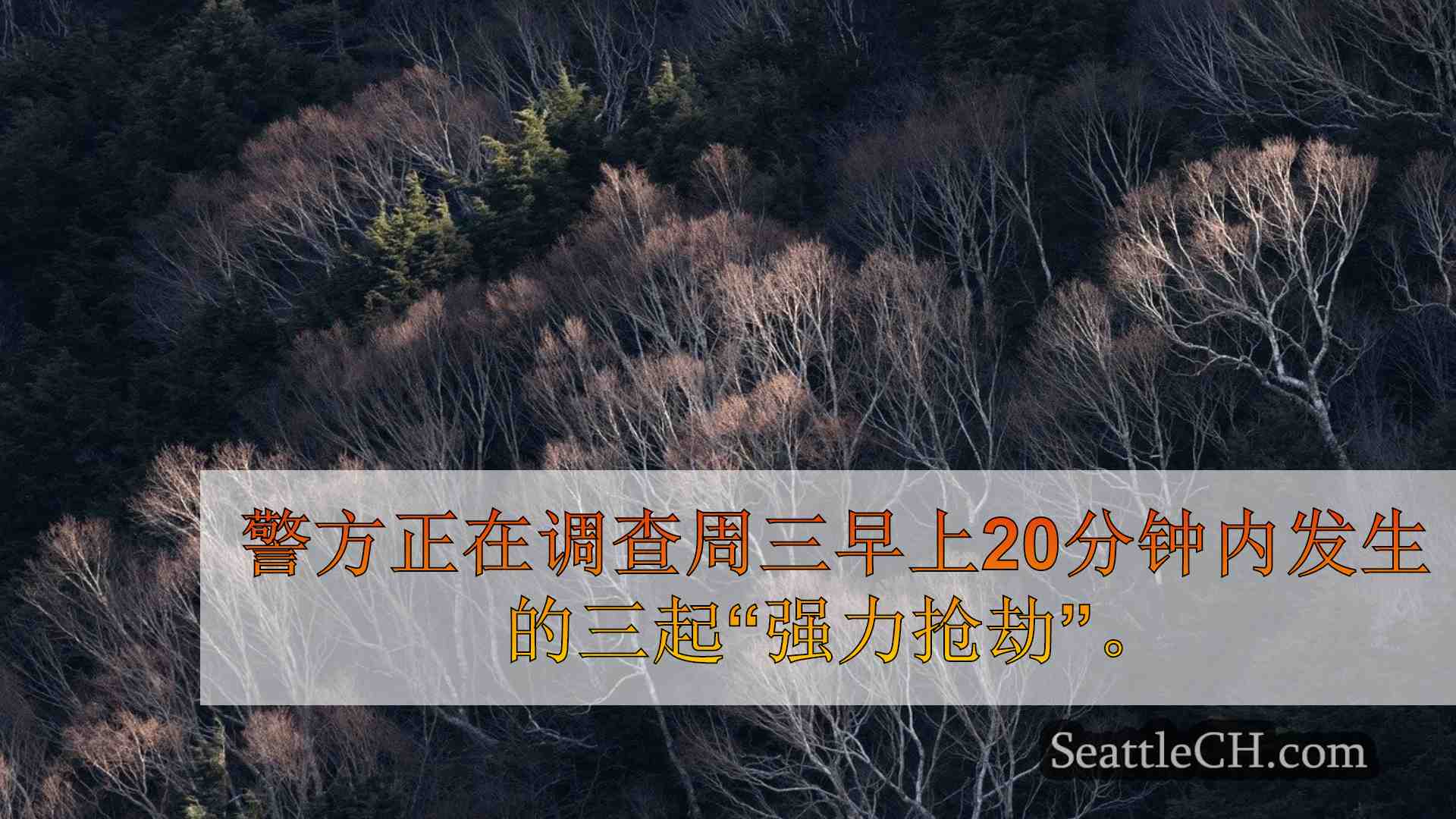 西雅图新闻 SeattleCH